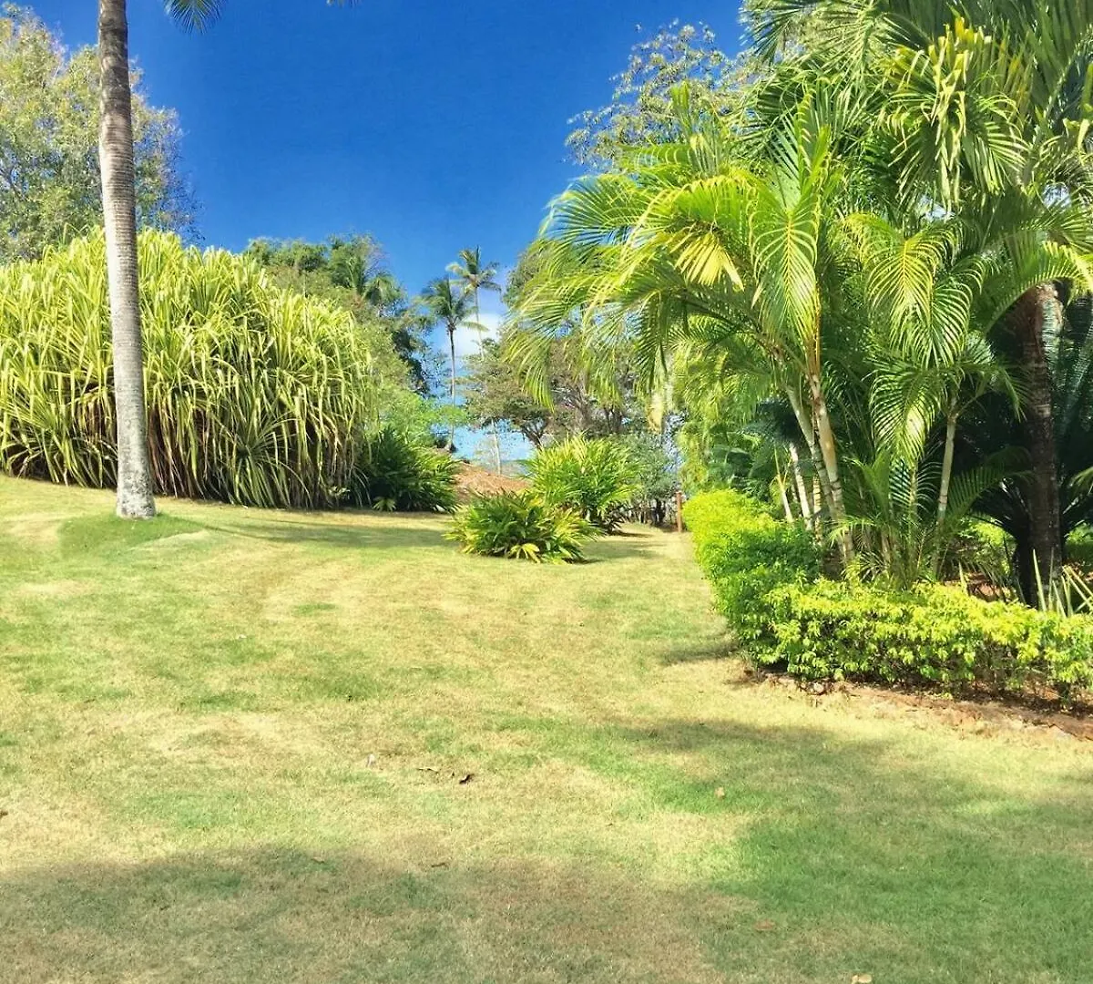 The Cottage At Javo Beach Las Galeras Semesterbostad